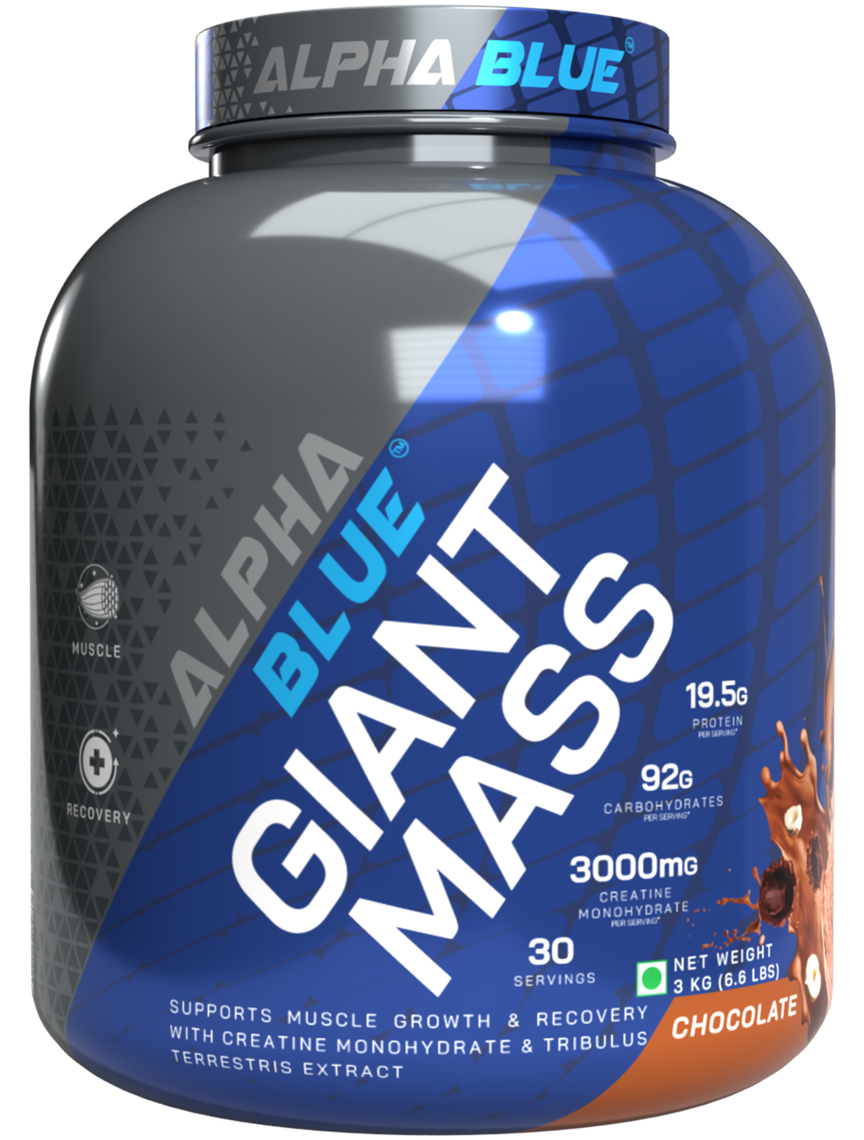 Alpha Blue Giant Mass Gainer-5