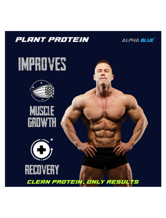 Plant Protein Alpha Blue