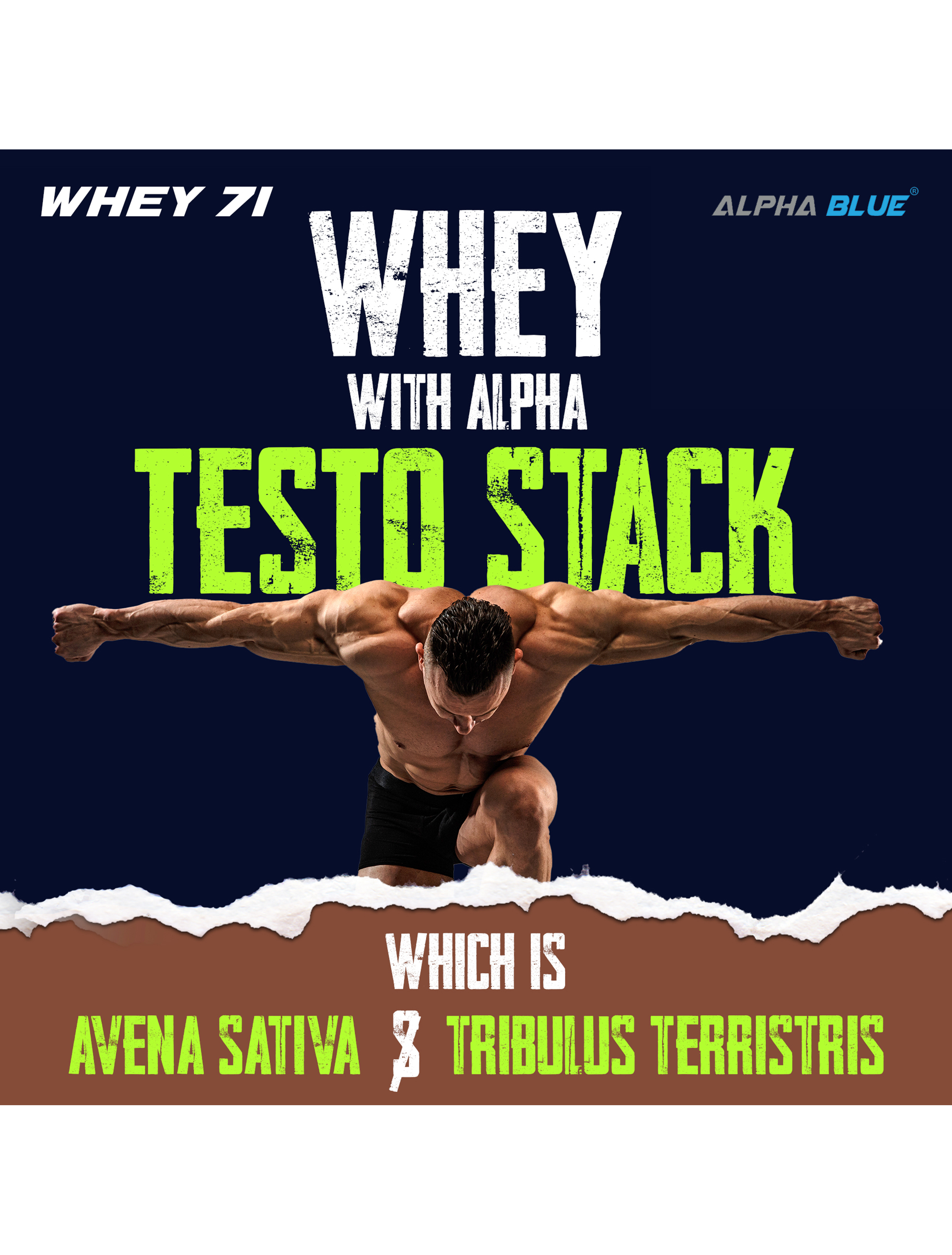 Alpha Blue Whey 71 Protein-7
