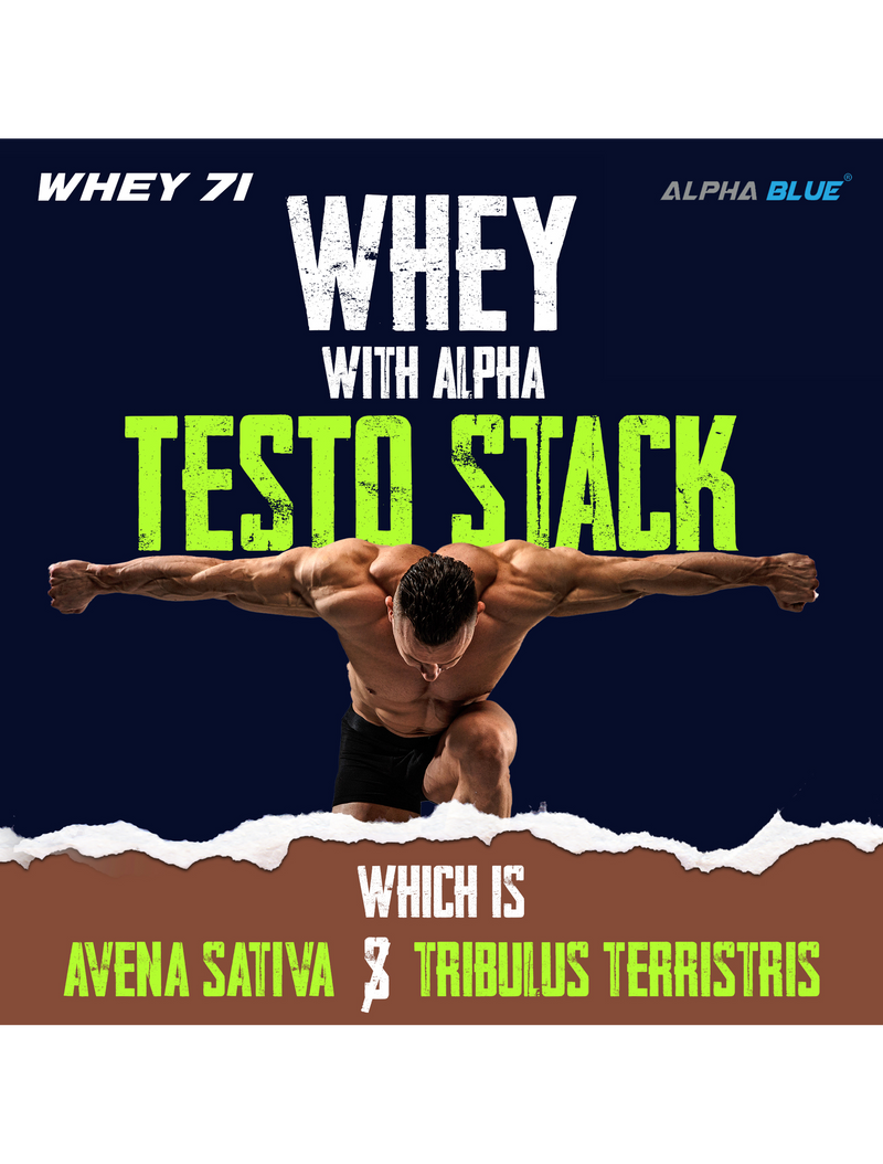 Alpha Blue Whey 71 Protein-7