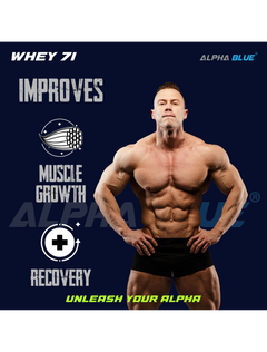 Alpha Blue Whey 71 Protein-8