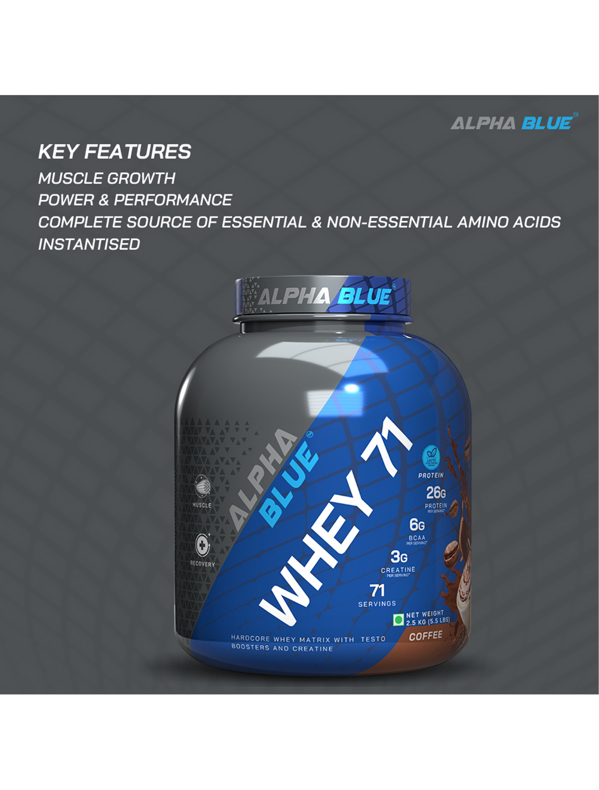 Alpha Blue Whey 71 Protein-12