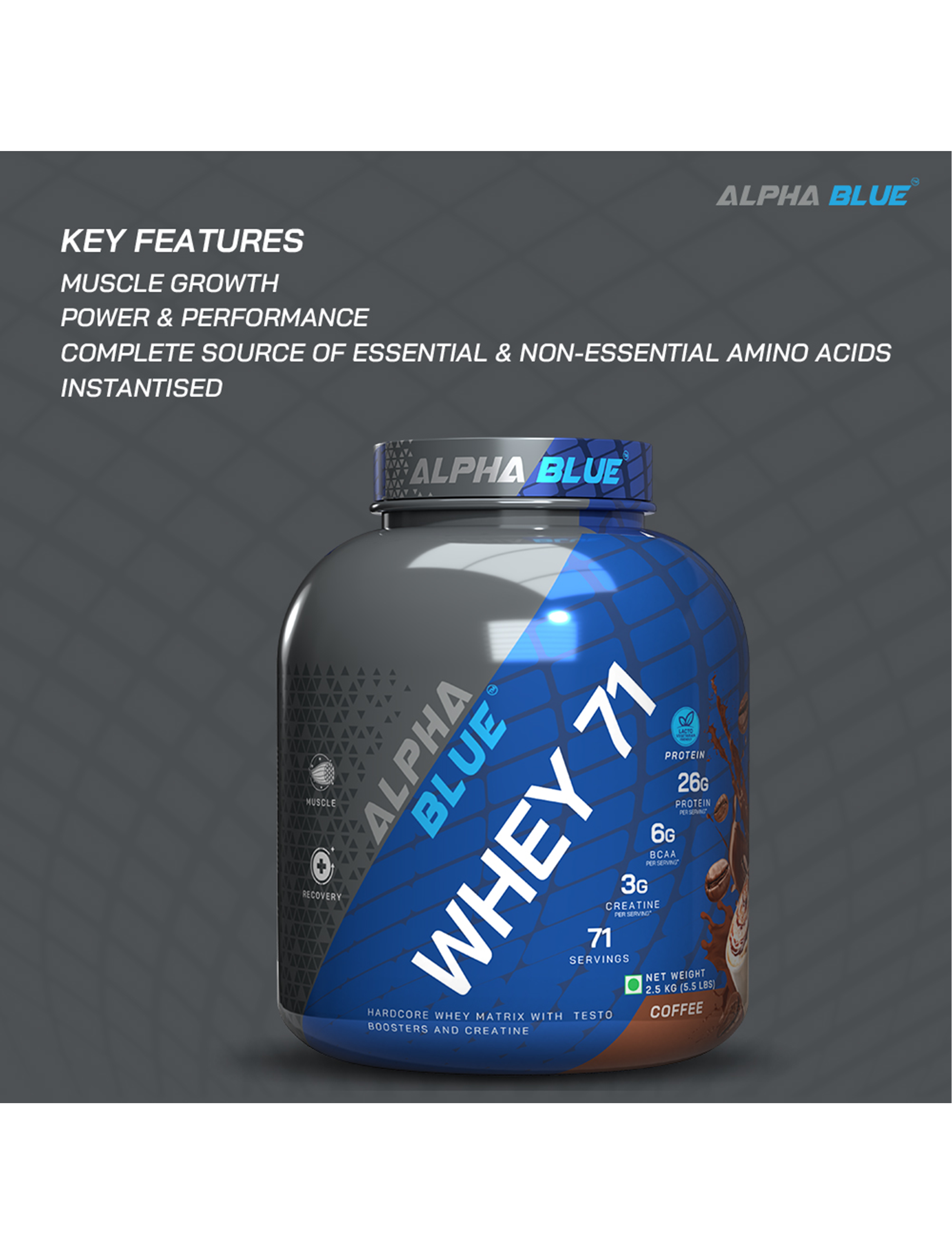 Alpha Blue Whey 71 Protein-12