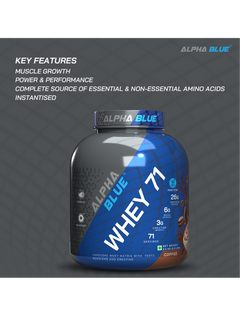 Alpha Blue Whey 71 Protein-12