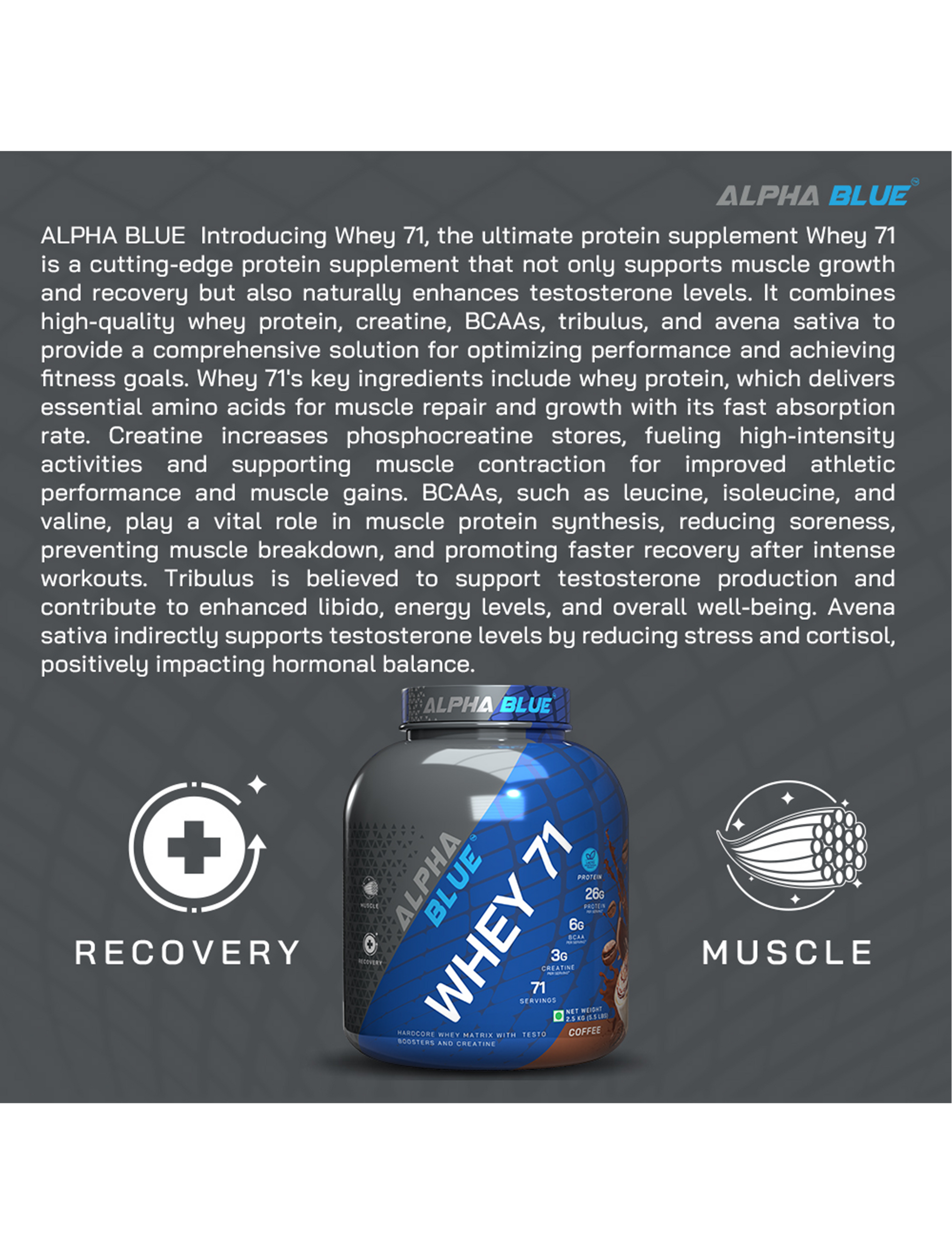 Alpha Blue Whey 71 Protein-15