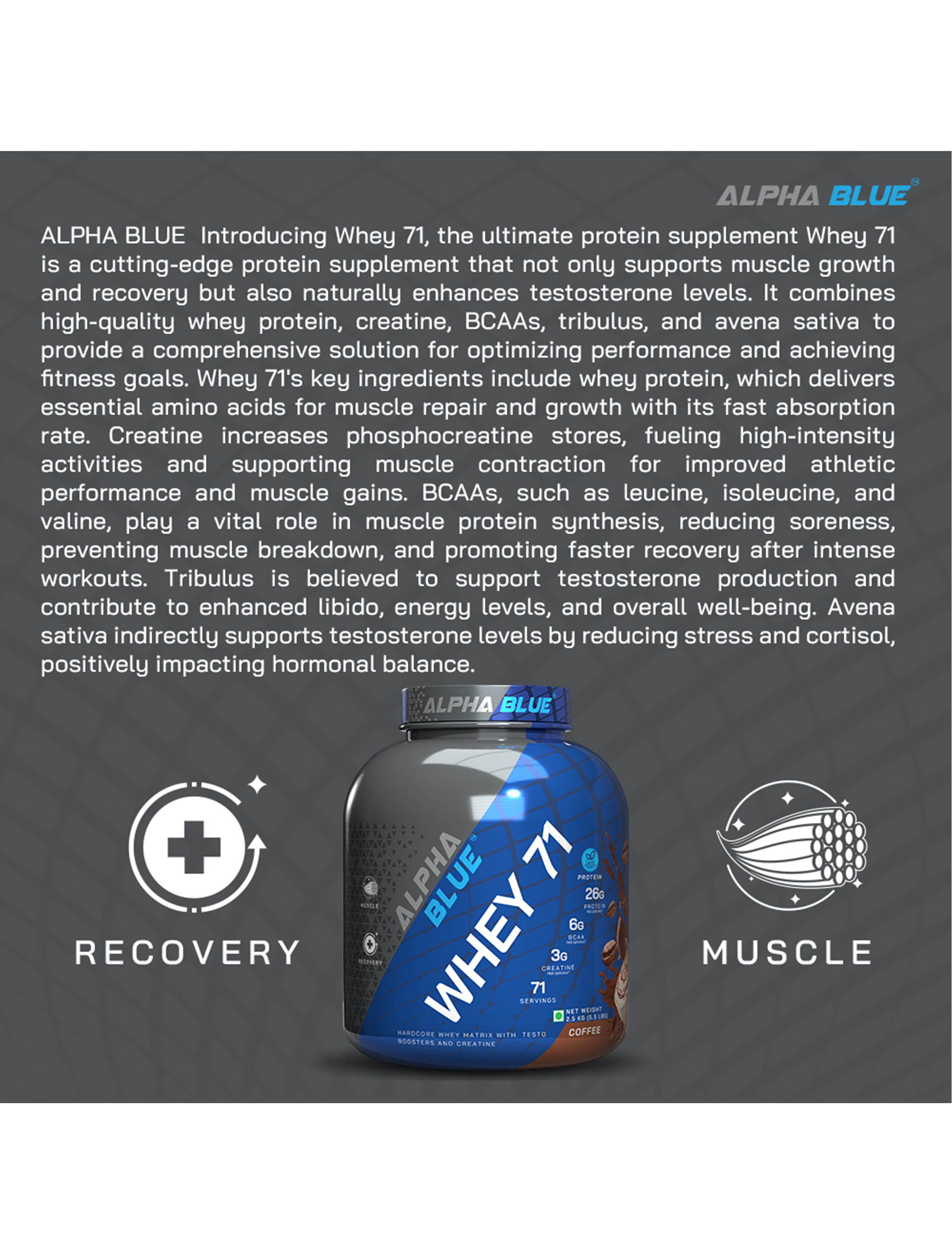 Alpha Blue Whey 71 Protein-15