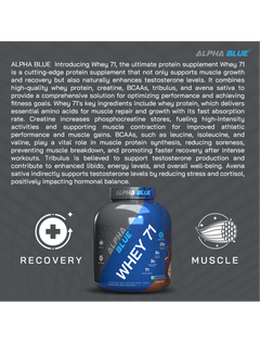 Alpha Blue Whey 71 Protein-15