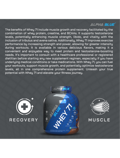 Alpha Blue Whey 71 Protein-14