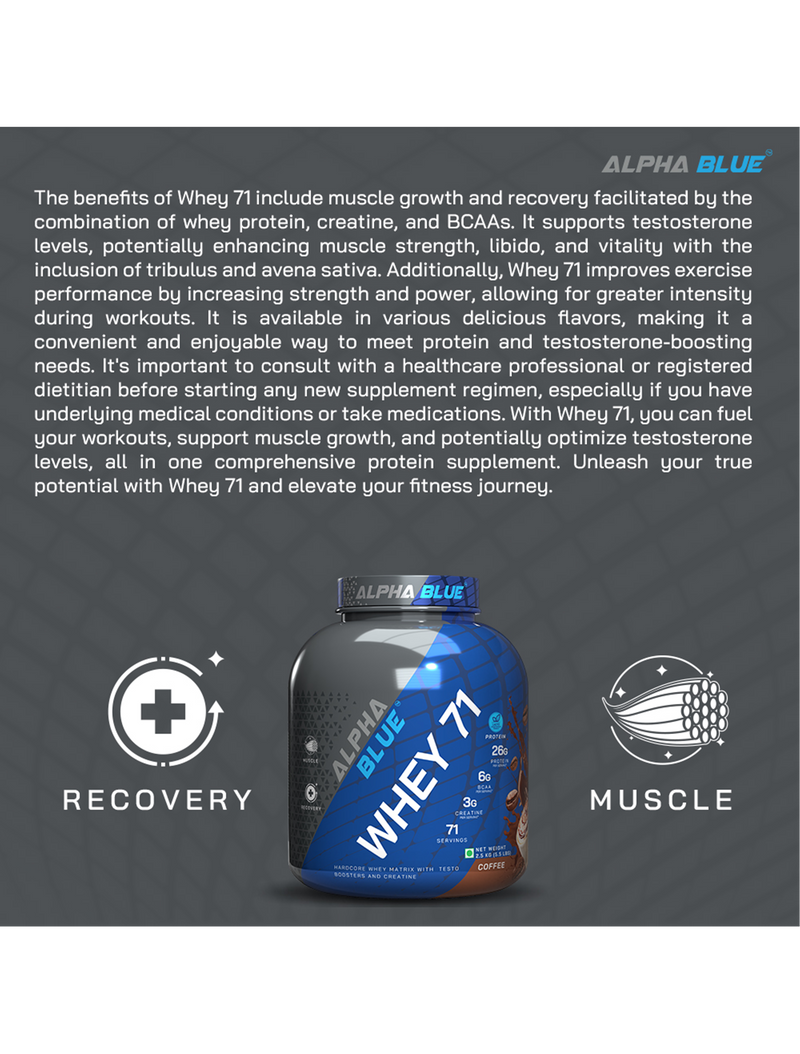 Alpha Blue Whey 71 Protein-14