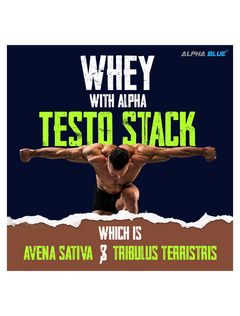 Alpha Blue Whey 71 Protein Alpha Blue